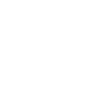 CITROEN DS