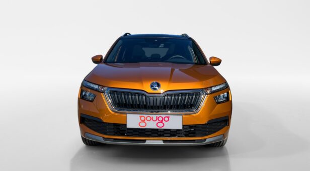 SKODA KAMIQ TODOTERRENO 1.0 TSI 81KW DSG SPORT 110 5p