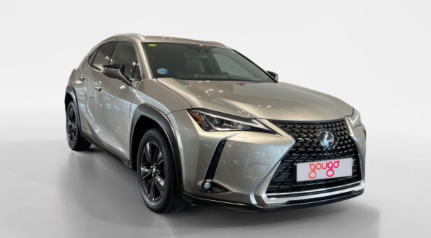 LEXUS UX 250h BUSINESS AUTO 2.0 184 5p