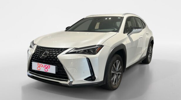 LEXUS UX TODOTERRENO 2.0 250H BUSINESS CITY AUTO 184 5p