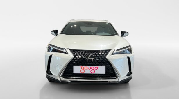 LEXUS UX TODOTERRENO 2.0 250H BUSINESS CITY AUTO 184 5p