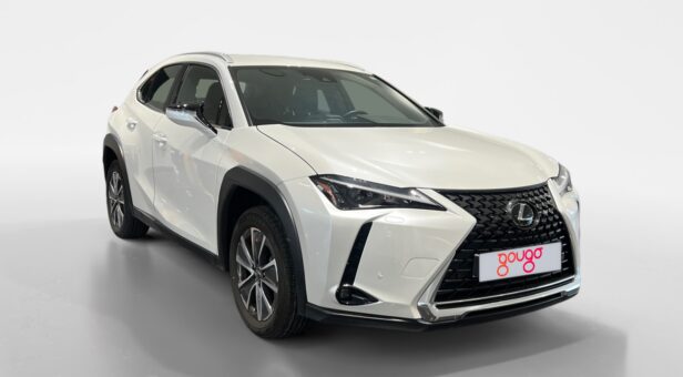 LEXUS UX TODOTERRENO 2.0 250H BUSINESS CITY AUTO 184 5p