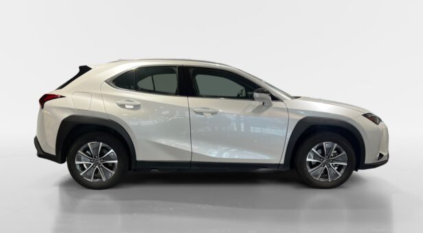 LEXUS UX TODOTERRENO 2.0 250H BUSINESS CITY AUTO 184 5p