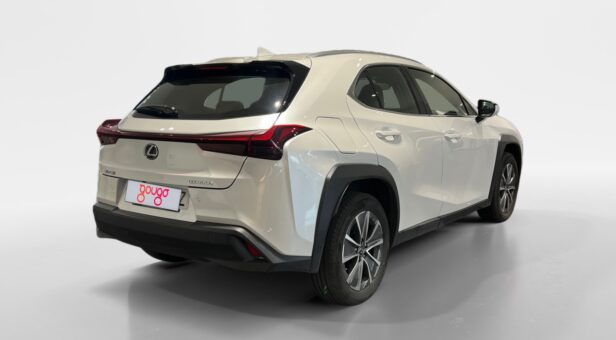 LEXUS UX TODOTERRENO 2.0 250H BUSINESS CITY AUTO 184 5p