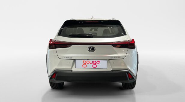 LEXUS UX TODOTERRENO 2.0 250H BUSINESS CITY AUTO 184 5p