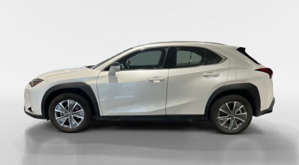 LEXUS UX TODOTERRENO 2.0 250H BUSINESS CITY AUTO 184 5p