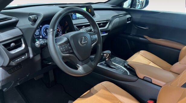 LEXUS UX HIBRIDO 2.0 250H EXECUTIVE NAVIGATION AUTO 184 5p