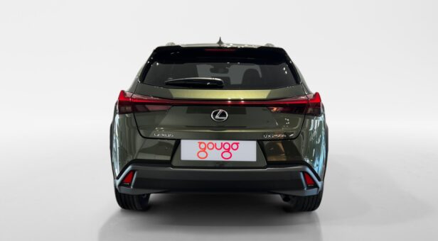 LEXUS UX HIBRIDO UX 250h 2WD PREMIUM