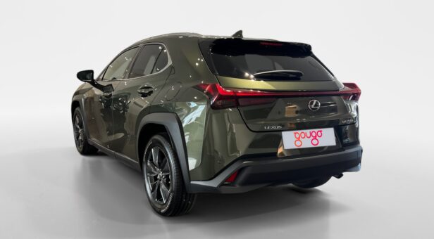 LEXUS UX HIBRIDO UX 250h 2WD PREMIUM