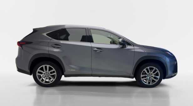 LEXUS NX 300h EXECUTIVE NAVIGATION 4WD AUTO 2.5 197 5p