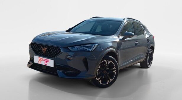 CUPRA FORMENTOR TODOTERRENO 1.5 TSI 110KW 150 5p