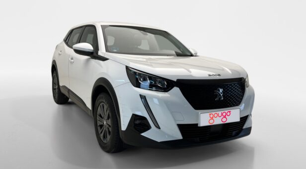 PEUGEOT CLASE X ACTIVE PACK 1.5 BLUEHDI 81KW 110CV 5p