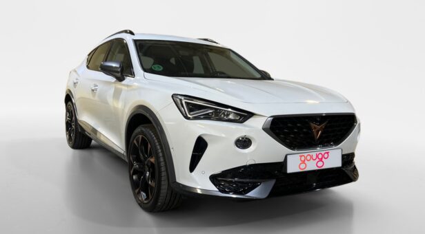 CUPRA FORMENTOR TODOTERRENO 1.5 TSI 110KW 150 5p