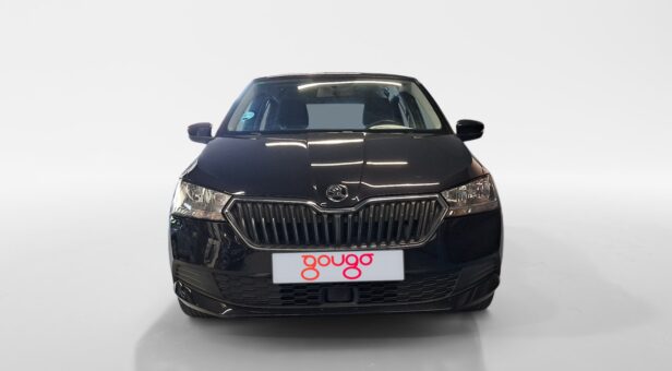 SKODA FABIA Like 1,0 MPI 55 kW (75 cv) Manual 5 vel.