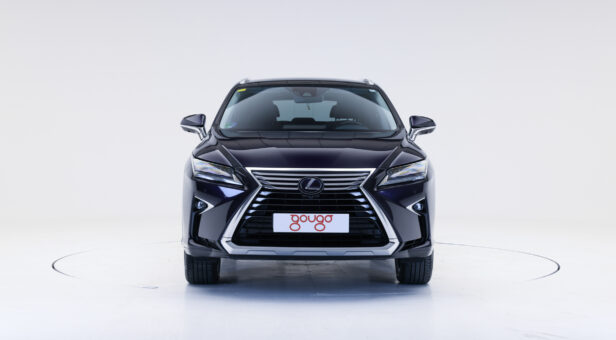 LEXUS RX 450h LUXURY AUTO 3.5 313CV 5p LEXUS RX 450h LUXURY AUTO 3.5 313CV 5p