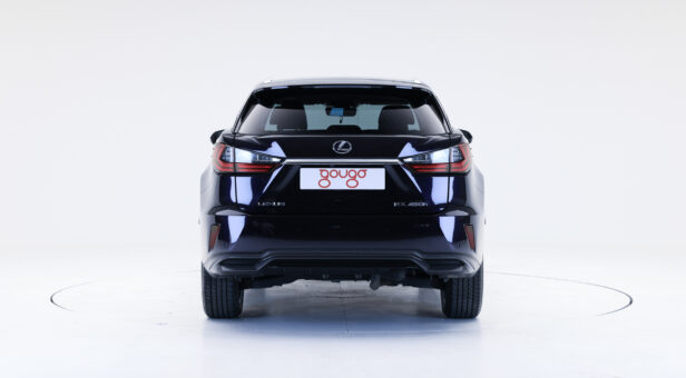 LEXUS RX 450h LUXURY AUTO 3.5 313CV 5p LEXUS RX 450h LUXURY AUTO 3.5 313CV 5p