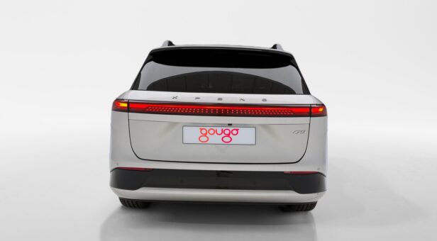 X-PENG X-PENG G9 X-PENG G9 Long Range RWD