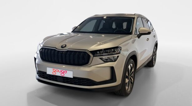 SKODA KODIAQ Selection 2,0 TDI 110 kW (150 CV) DSG 7 vel. SKODA KODIAQ Selection 2,0 TDI 110 kW (150 CV) DSG 7 vel.