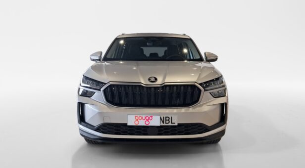 SKODA KODIAQ Selection 2,0 TDI 110 kW (150 CV) DSG 7 vel. SKODA KODIAQ Selection 2,0 TDI 110 kW (150 CV) DSG 7 vel.