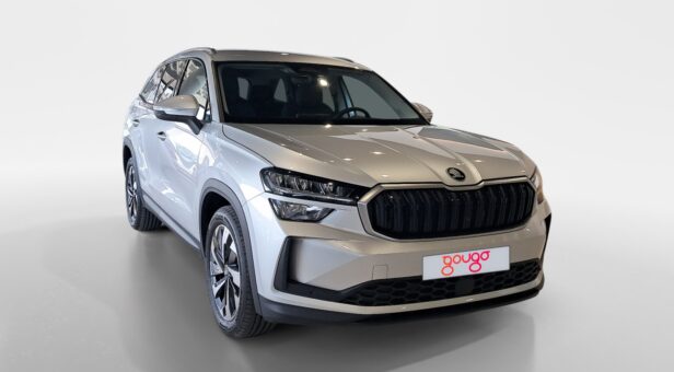 SKODA KODIAQ Selection 2,0 TDI 110 kW (150 CV) DSG 7 vel. SKODA KODIAQ Selection 2,0 TDI 110 kW (150 CV) DSG 7 vel.