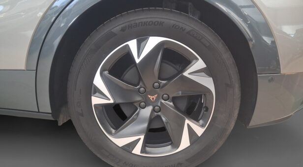 CUPRA TAVASCAN ENDURANCE 286cv CUPRA TAVASCAN ENDURANCE 286cv