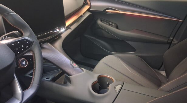 CUPRA TAVASCAN ENDURANCE 286cv CUPRA TAVASCAN ENDURANCE 286cv