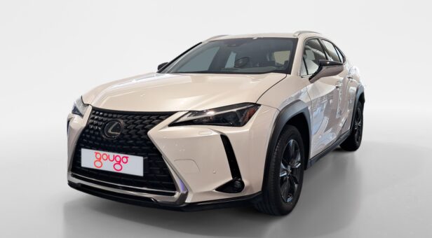 LEXUS UX TODOTERRENO 2.0 250H BUSINESS AUTO 184 5p