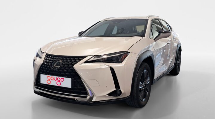 LEXUS UX TODOTERRENO 2.0 250H BUSINESS AUTO 184 5p LEXUS UX TODOTERRENO 2.0 250H BUSINESS AUTO 184 5p