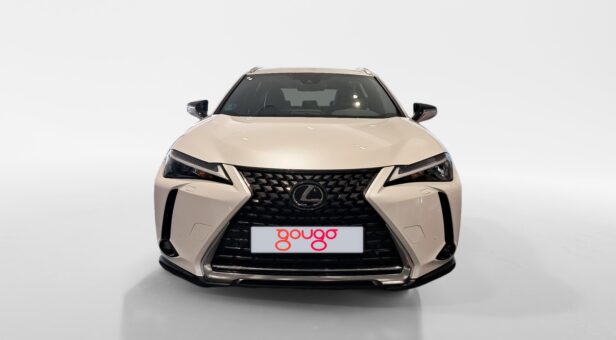 LEXUS UX TODOTERRENO 2.0 250H BUSINESS AUTO 184 5p