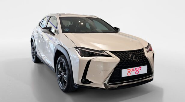 LEXUS UX TODOTERRENO 2.0 250H BUSINESS AUTO 184 5p