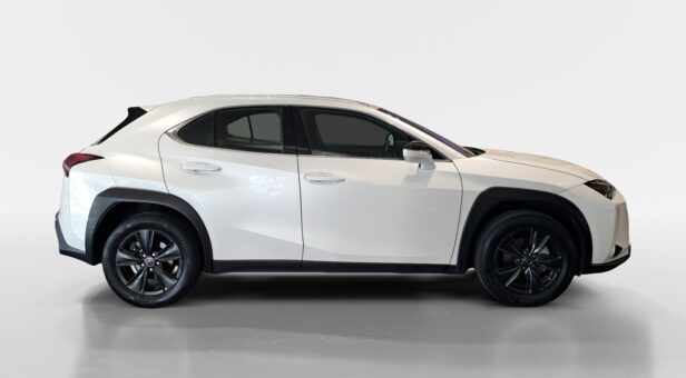 LEXUS UX TODOTERRENO 2.0 250H BUSINESS AUTO 184 5p
