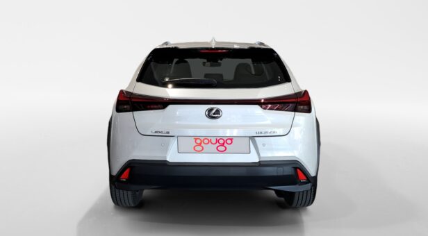 LEXUS UX TODOTERRENO 2.0 250H BUSINESS AUTO 184 5p