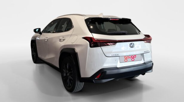 LEXUS UX TODOTERRENO 2.0 250H BUSINESS AUTO 184 5p