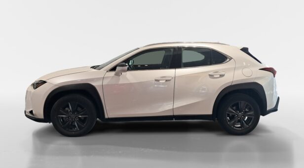 LEXUS UX TODOTERRENO 2.0 250H BUSINESS AUTO 184 5p