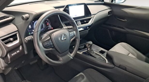 LEXUS UX TODOTERRENO 2.0 250H BUSINESS AUTO 184 5p
