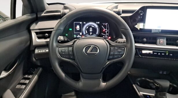 LEXUS UX TODOTERRENO 2.0 250H BUSINESS AUTO 184 5p