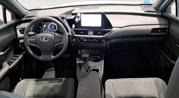 LEXUS UX TODOTERRENO 2.0 250H BUSINESS AUTO 184 5p