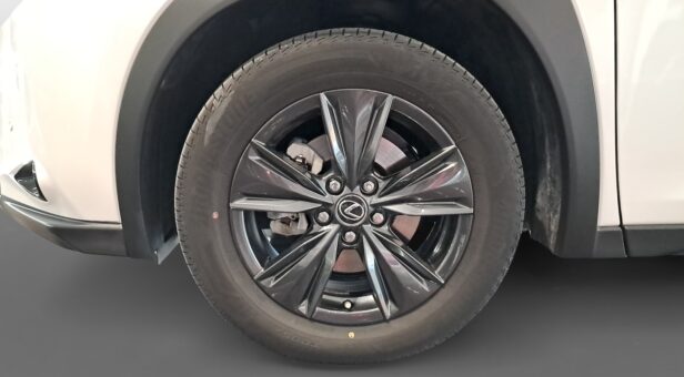 LEXUS UX TODOTERRENO 2.0 250H BUSINESS AUTO 184 5p