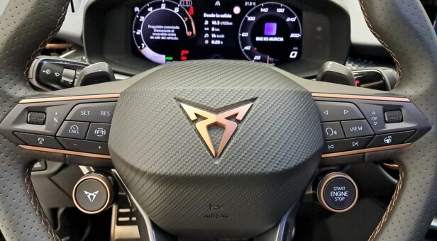 CUPRA TERRAMAR 1.5 ETSI 110 KW (150 cv) DSG 7 VEL CUPRA TERRAMAR 1.5 ETSI 110 KW (150 cv) DSG 7 VEL
