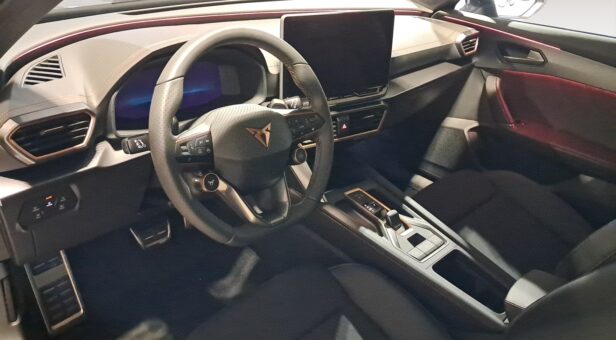 CUPRA FORMENTOR 1.5 ETSI 110 KW (150 cv) DSG