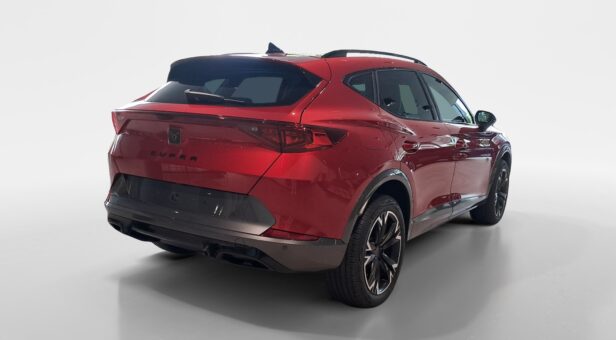 CUPRA CUPRA FORMENTOR 2.0 TDI 110 KW (150 cv) DSG 7 VEL 4DRIVE