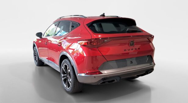 CUPRA CUPRA FORMENTOR 2.0 TDI 110 KW (150 cv) DSG 7 VEL 4DRIVE