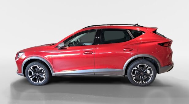 CUPRA CUPRA FORMENTOR 2.0 TDI 110 KW (150 cv) DSG 7 VEL 4DRIVE