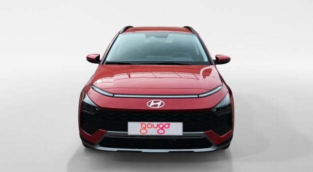 HYUNDAI BAYON TODOTERRENO 1.0 TGDI 48V MAXX 100 5p