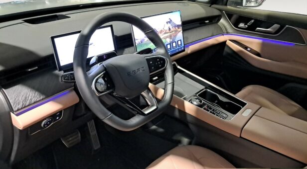 EBRO S900 TODOTERRENO 1.5 TGDI PHEV LUXURY 3DHT 4WD 425 5P 7 Plazas