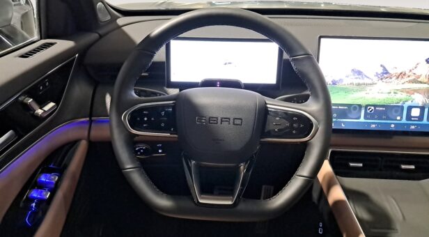 EBRO S900 TODOTERRENO 1.5 TGDI PHEV LUXURY 3DHT 4WD 425 5P 7 Plazas