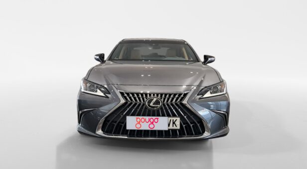 LEXUS ES HIBRIDO 300h PREMIUM LEXUS ES HIBRIDO 300h PREMIUM