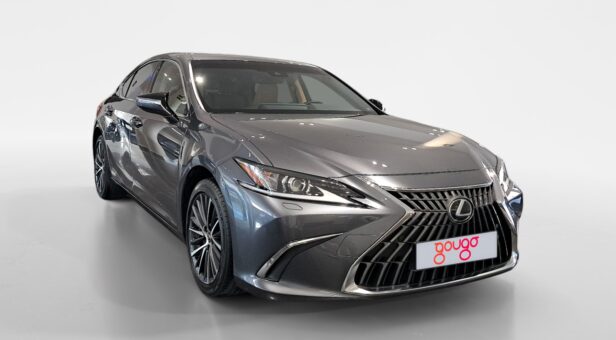 LEXUS ES HIBRIDO 300h PREMIUM LEXUS ES HIBRIDO 300h PREMIUM
