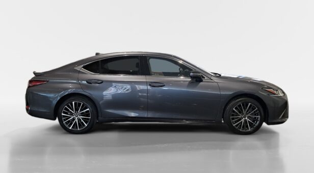 LEXUS ES HIBRIDO 300h PREMIUM LEXUS ES HIBRIDO 300h PREMIUM