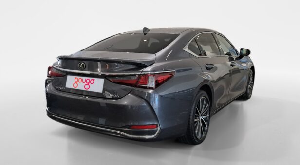 LEXUS ES HIBRIDO 300h PREMIUM LEXUS ES HIBRIDO 300h PREMIUM